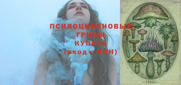 герыч Бронницы