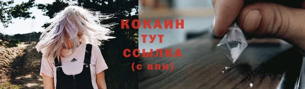 стафф Бородино