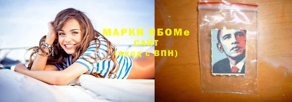 гашик Осташков