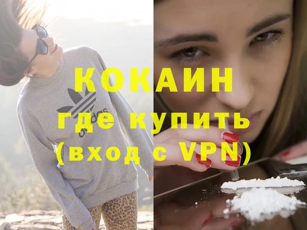 стафф Бородино