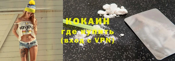 стафф Бородино