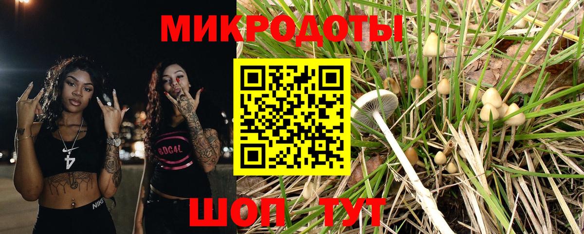 закладка  Всеволожск  Галлюциногенные грибы прущие грибы  Псилоцибиновые грибы GOLDEN TEACHER 