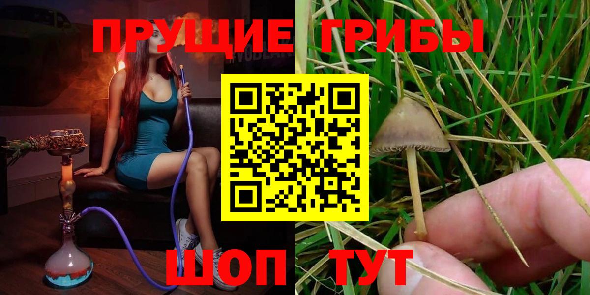 Псилоцибиновые грибы Magic Shrooms Всеволожск