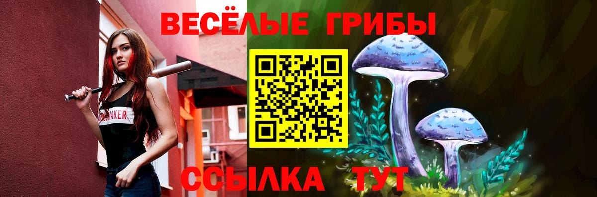 Всеволожск  Псилоцибиновые грибы GOLDEN TEACHER  Псилоцибиновые грибы Psilocybe  Вход с VPN 